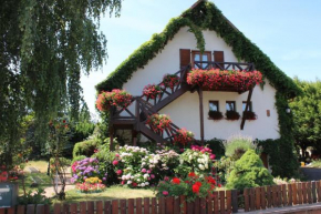 Отель Apartment Route du Vin Centre Alsace  Оршвиллер